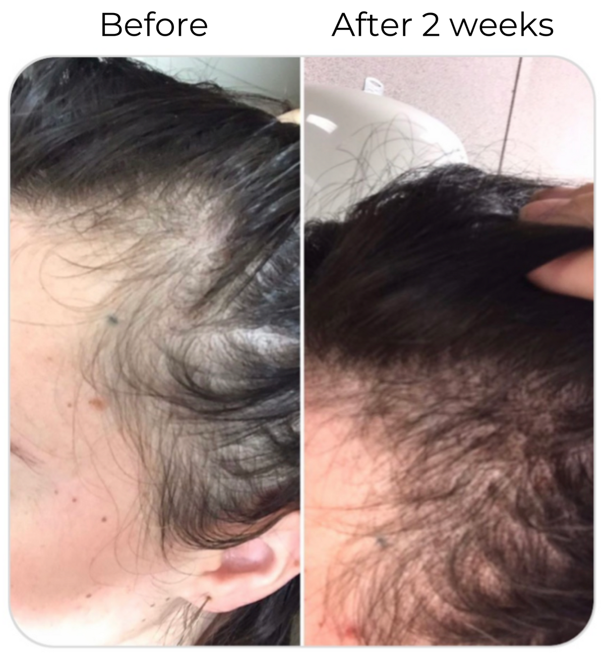 Elleada Nourishing Hair Serum